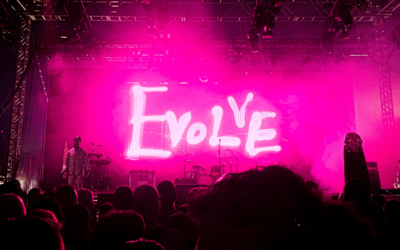 Brand Insights: Evolving for Success